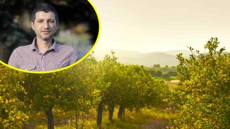 Симеон Матев