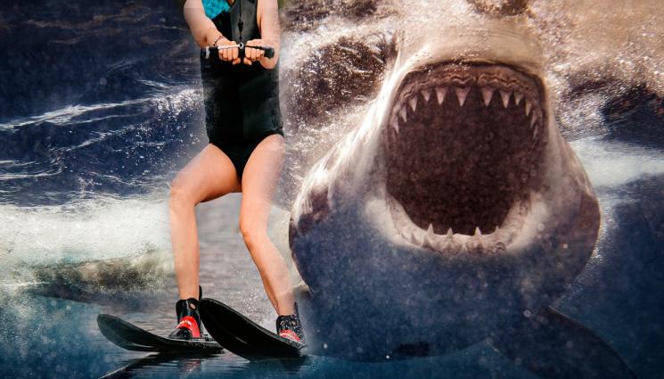 акула жена - СВИРЕПО НАПАДЕНИЕ: Огромна акула захапа водните ски на жена и я потопи под вълните