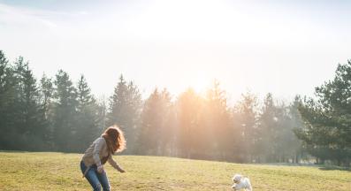 куче човек парк