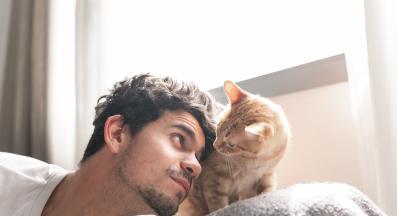 котка у дома