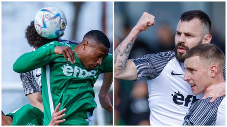 Делев Лудогорец Хебър