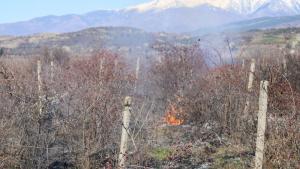 Изоставени и обработваеми лозя горяха в Благоевград пожарът бе загасен