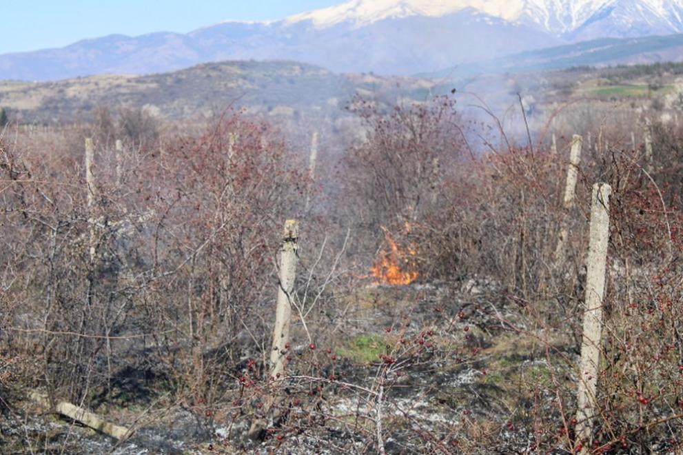 Изоставени и обработваеми лозя горяха в Благоевград, пожарът бе загасен