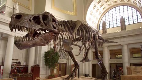 Тиранозавър Рекс