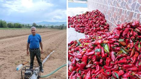 Сабахтин Ибишев чушки