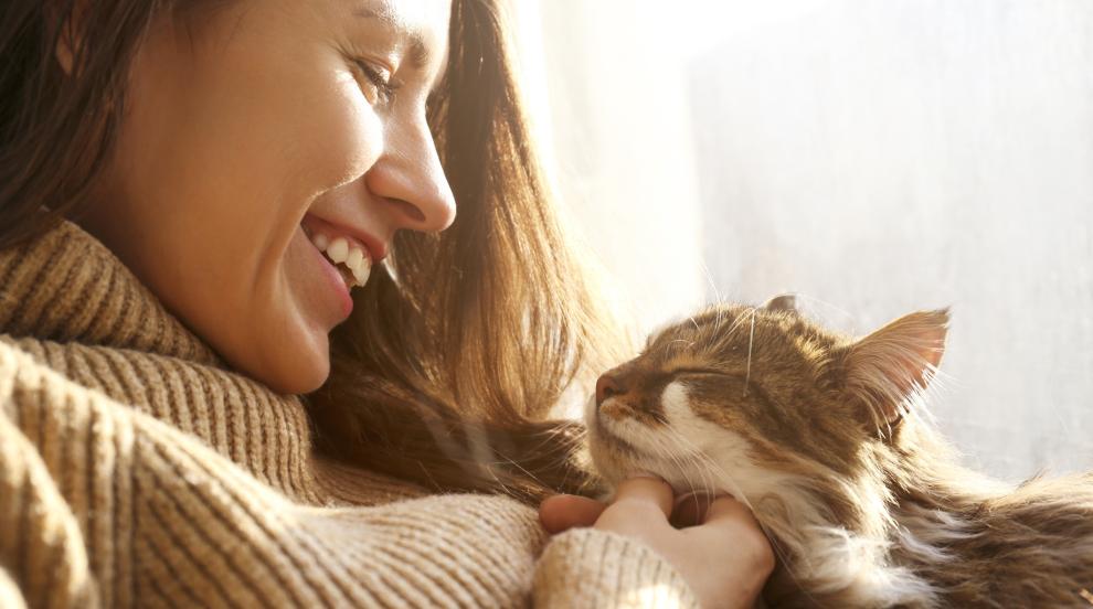 Интересни тайни за котките, които може би не знаете