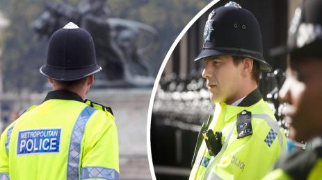 полиция Лондон