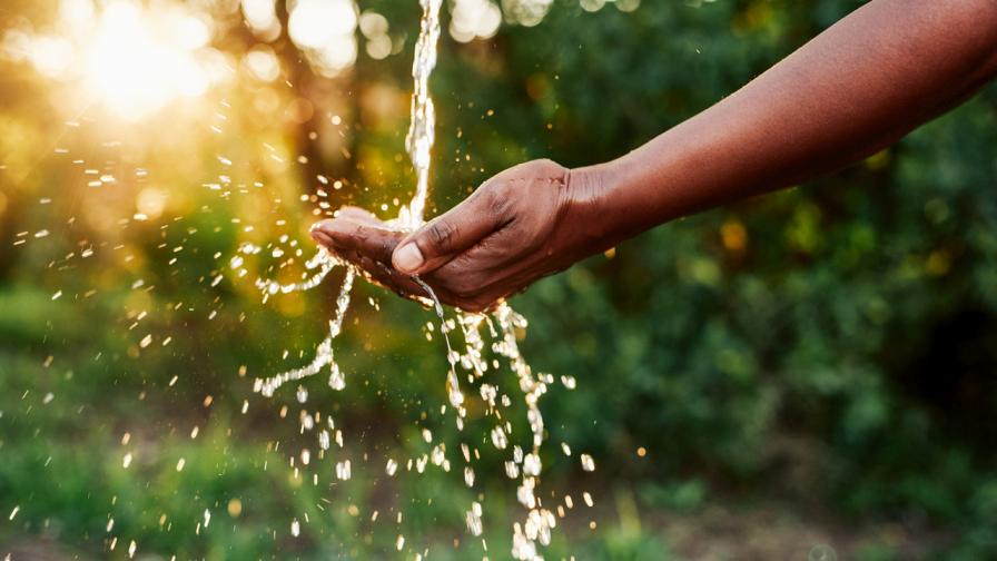 Въпрос на оцеляване: Как водата ни поддържа живи и здрави