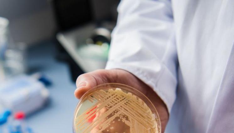 зараза - НОВА ЗАРАЗА: Смъртоносна гъбична инфекция плъзна в САЩ