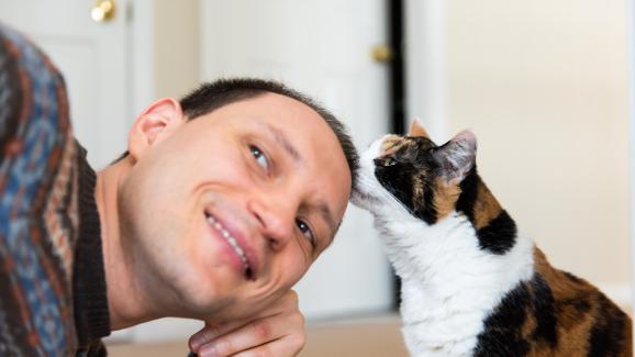 Усещат ли котките миризмата на други котки върху вас