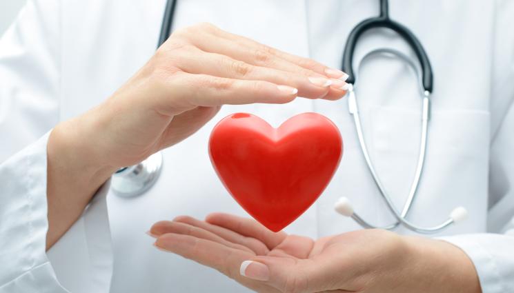 сърце - Жена с трансплантиран бъбрек на прасе постави нов рекорд за продължителност на живота