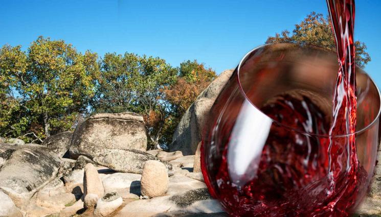 Траки вино - Виното е ключът към мистериите на траките