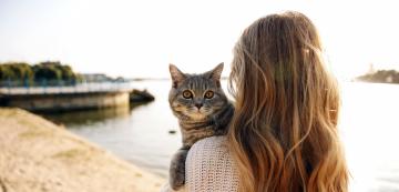 6 чудесни дейности за котки на плажа