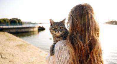 котка на плаж