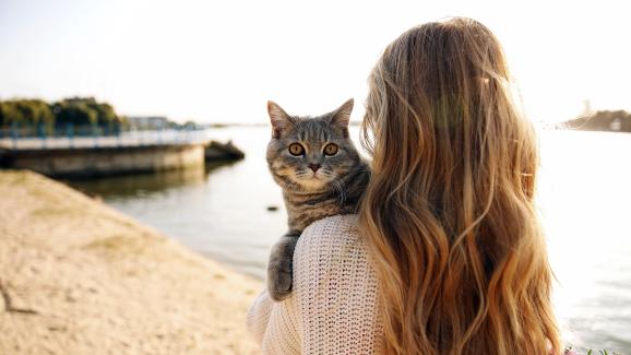 6 чудесни дейности за котки на плажа