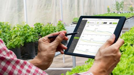 градина таблет