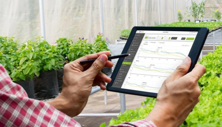 градина таблет - Агро Телеграф: Стопани управляват с телефон градини на бъдещето