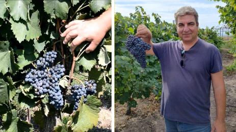 Атанас Карагеоргиев