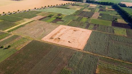 земеделска земя