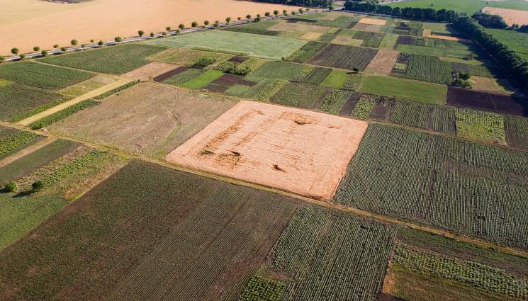 земеделска земя