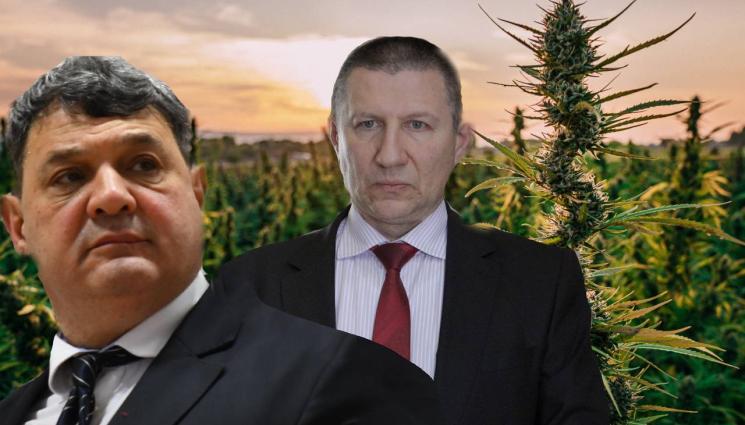 Борислав Сарафов Петър Тодоров - УДАР: Фабрика за 2 милиона бълвала марихуана край Нова Загора (СНИМКИ+ВИДЕО)