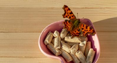 котешка постелка от пелети