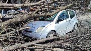 вятър щети коли Пловдив
