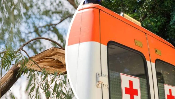 дърво линейка - Огромно дърво затисна две момчета в автомобил! (ВИДЕО)