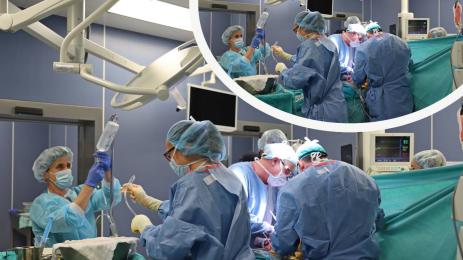 трансплантация вма