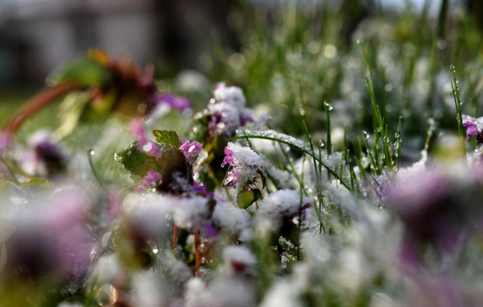 Днес над западната половина от страната ще бъде предимно слънчево.