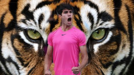 Алкарас Роки