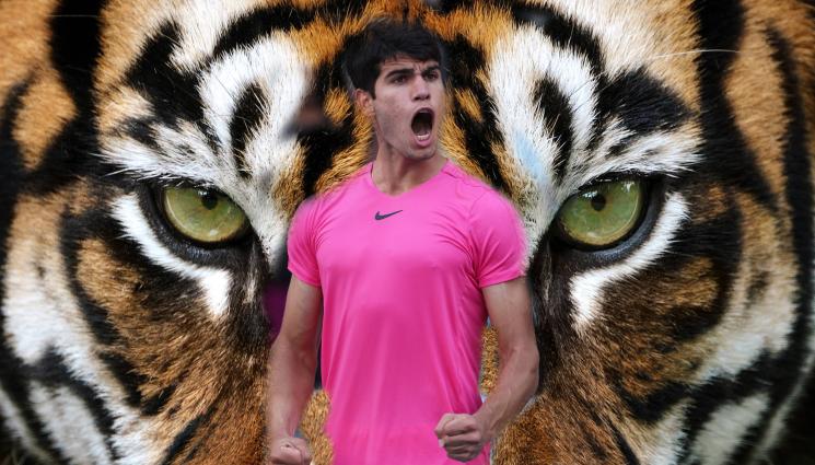 Алкарас Роки - Испанският тигър: Карлос Алкарас се озлобява за мач с песните от Роки