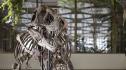 Рядък скелет на тиранозавър рекс ще бъде продаден на търг в Швейцария