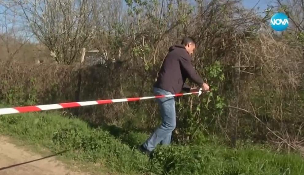Глутница кучета уби жена в град Долна Оряховица. 39-годишната жертва е
