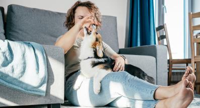 куче разглезено