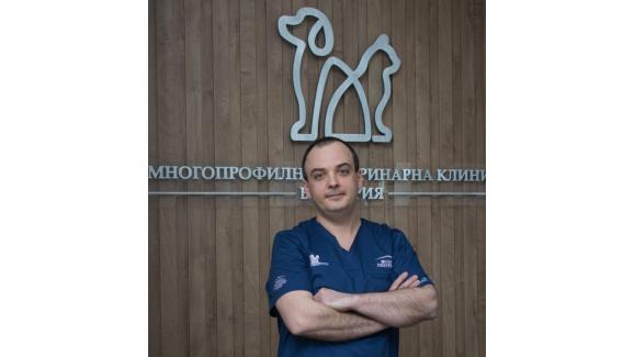 Д-р Мирослав Генов: кастрацията на котките подобрява и удължава живота им