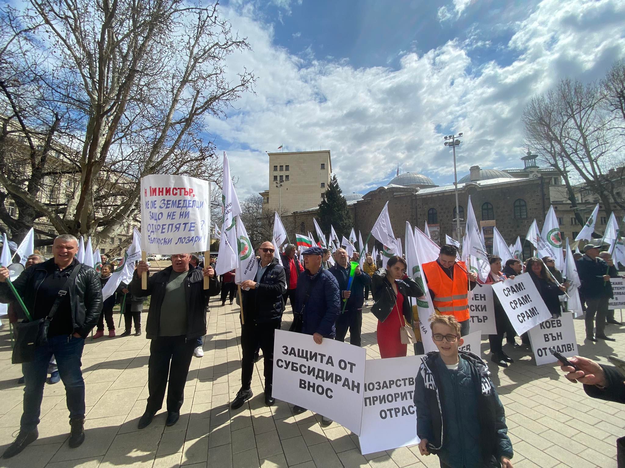 протест лозари