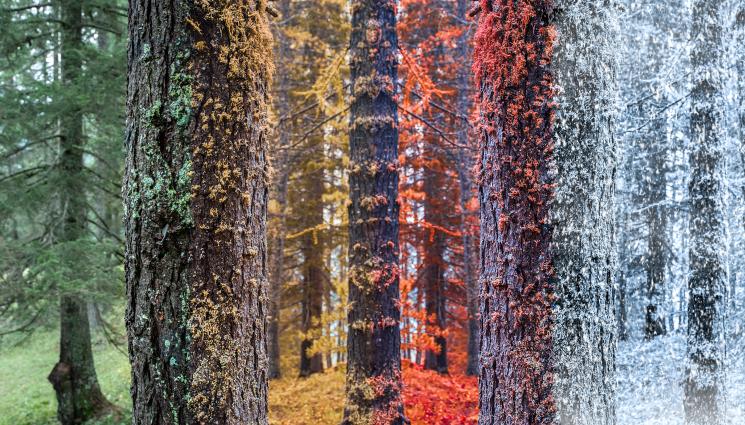 времето - ВРЕМЕТО: Дъждът отстъпва на слънцето!