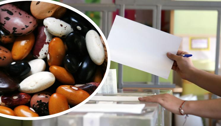 избори боб - Няма машини, няма хартия – как са гласували нашите предци?