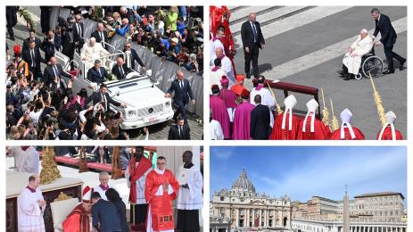 папа Франциск Цветница