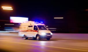 Куче нахапа 9-годишно момче край хижа в Челопеч: Детето е в болница с рани по главата