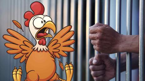 Кокошка затвор