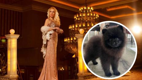 Деси Бакърджиева