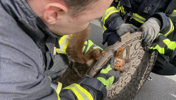 катерица - РАЗМИНА Й СЕ: Пожарникари спасиха