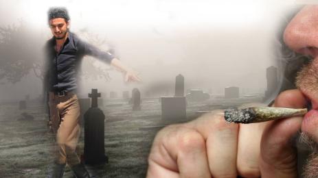 гробище танц трева