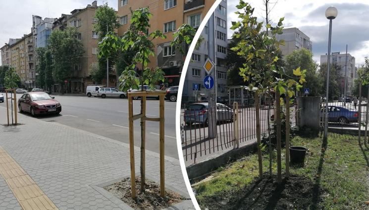 а - СТОЛИЧАНИ В ГОРА: Засаждат над 4000 дървета в София
