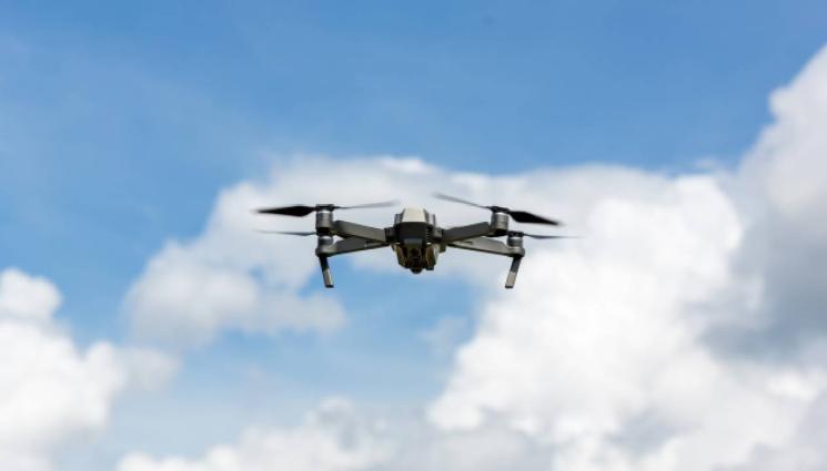 дронове - КИБЕР ЯТО: Учени превръщат мъртви птици в дронове