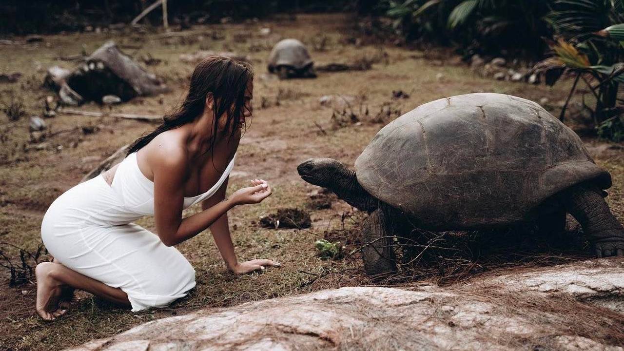 звезди животни