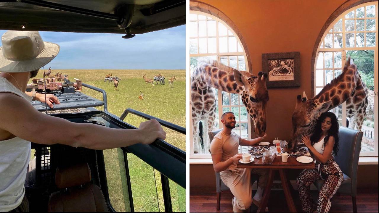 звезди животни