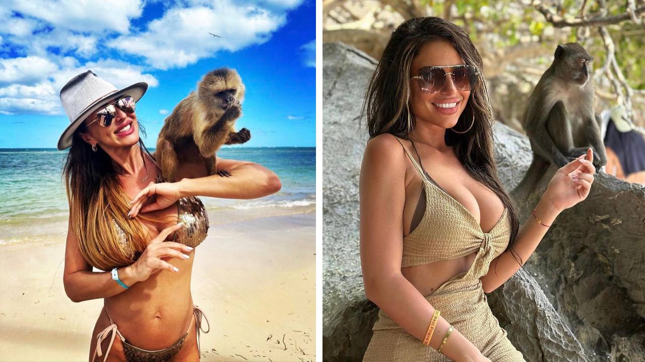 звезди животни